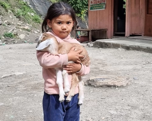 Beautiful Girl Along The Trail 