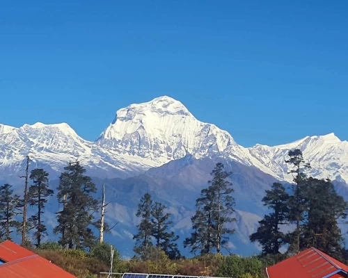 Dhaulagiri Panorama 