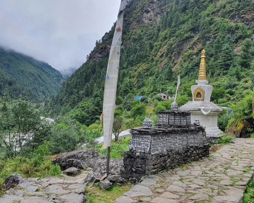Mane Wall Along The Trail