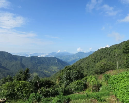 Village